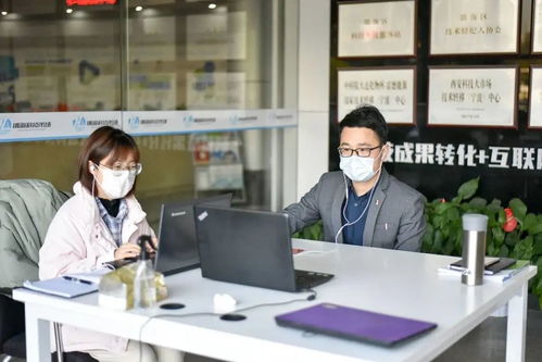 探秘镇海打通信息之路 线上路演为科技中介插上云端羽翼